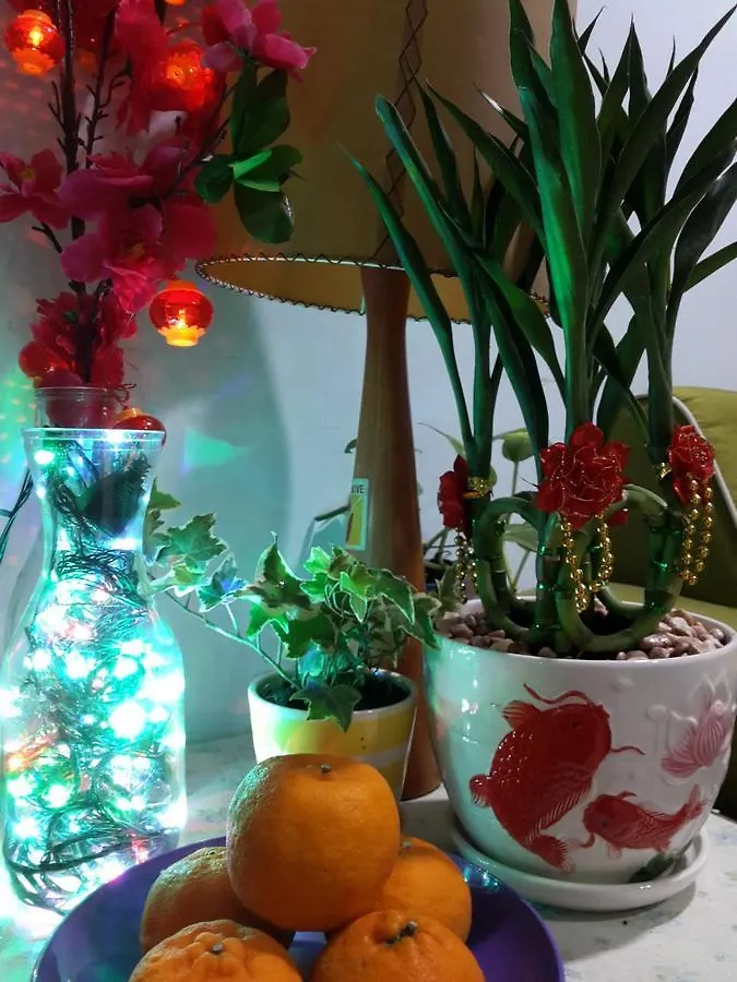 ** 酒店 Thoo酒店  Malacca 马来西亚